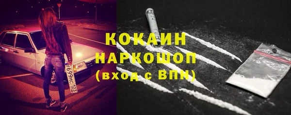 прущие грибы Верея