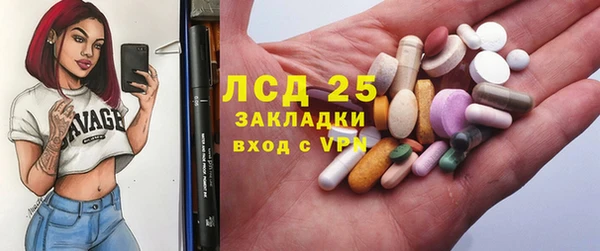 прущие грибы Верея