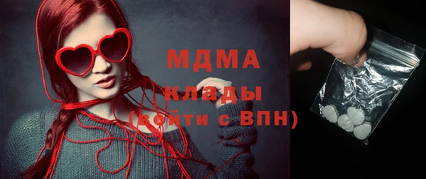 прущие грибы Верея