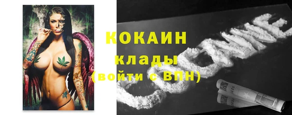 прущие грибы Верея