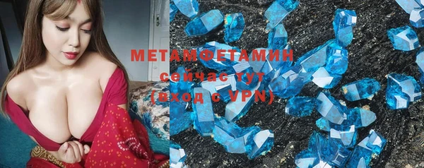 прущие грибы Верея