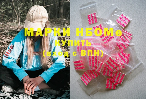 прущие грибы Верея