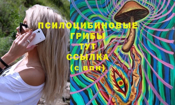 прущие грибы Верея