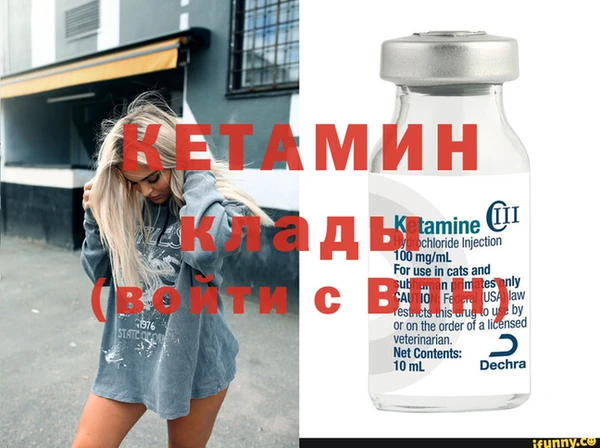 прущие грибы Верея
