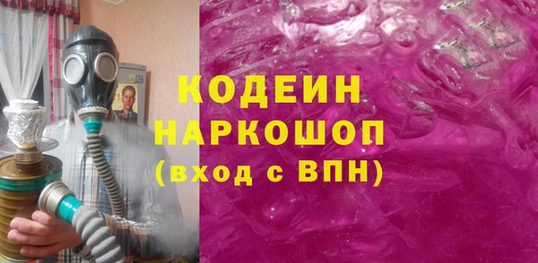 прущие грибы Верея