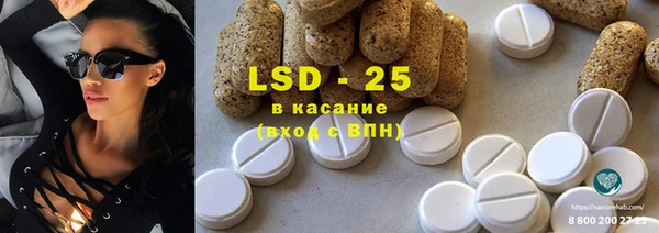 прущие грибы Верея
