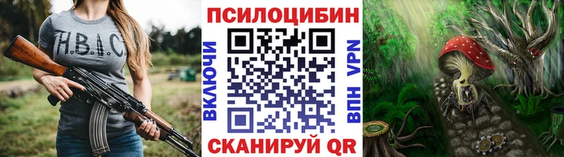 Галлюциногенные грибы Psilocybine cubensis  Карабаш 